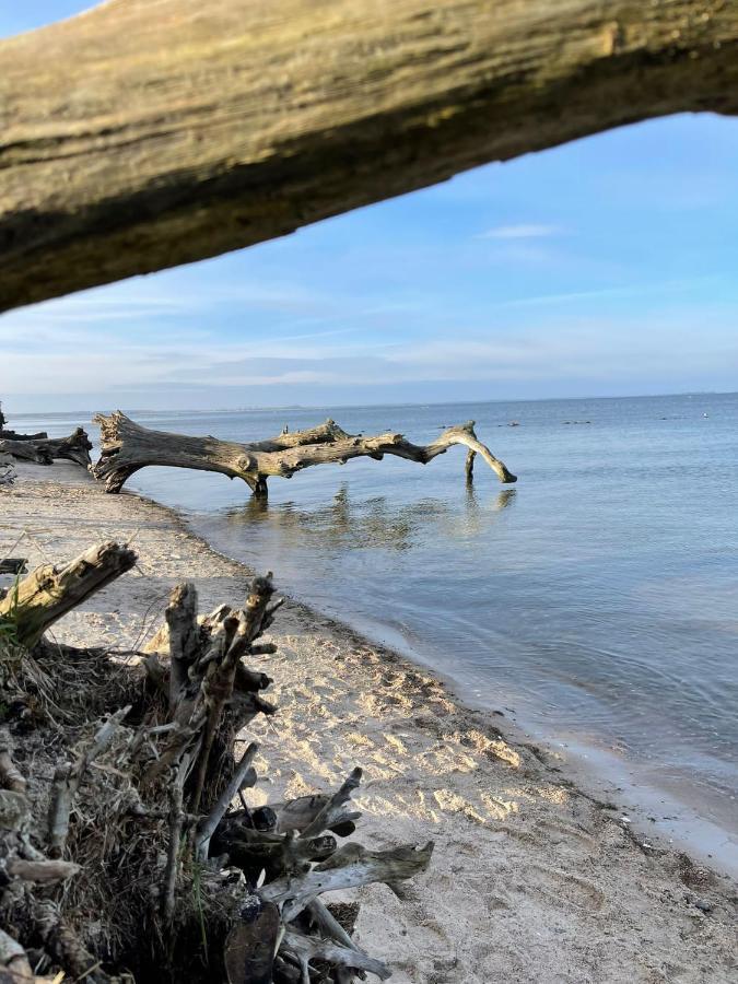 Urlaub Nahe Der Peene Naehe Der Ostsee Rustow Exterior photo