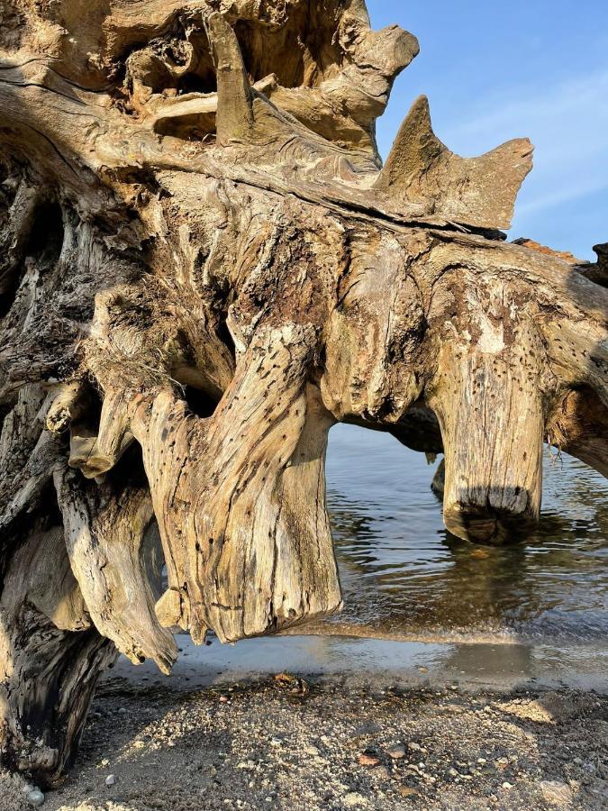 Urlaub Nahe Der Peene Naehe Der Ostsee Rustow Exterior photo